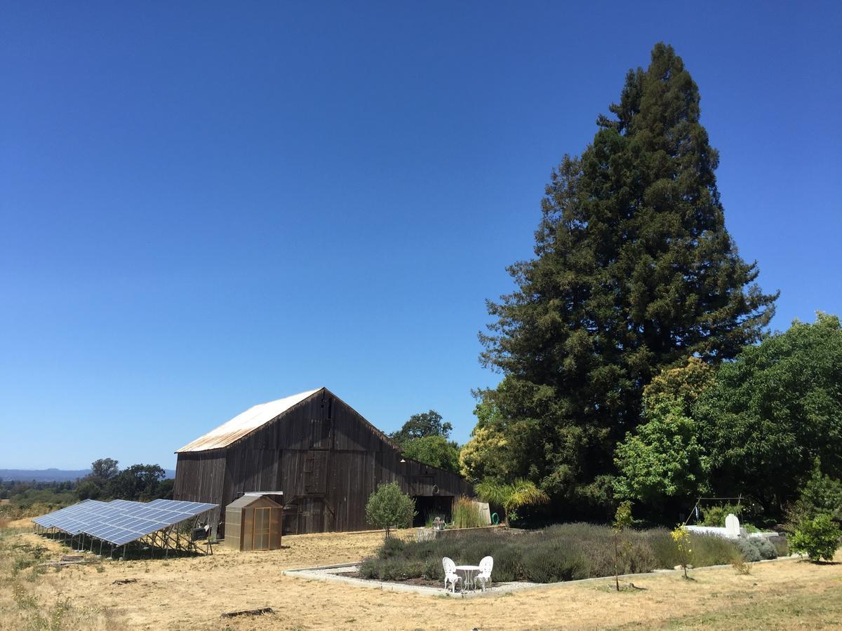 The Gables Wine Country Innサンタローザ エクステリア 写真