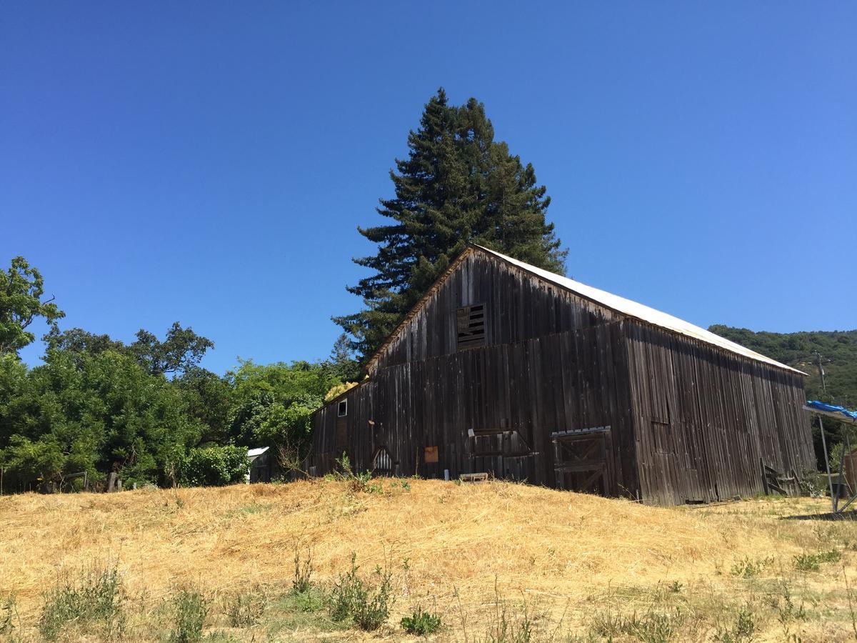 The Gables Wine Country Innサンタローザ エクステリア 写真