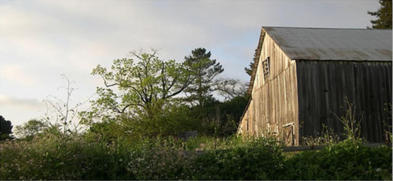 The Gables Wine Country Innサンタローザ エクステリア 写真