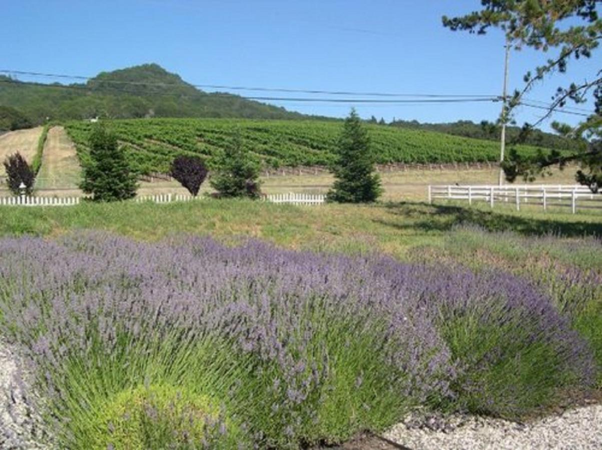 The Gables Wine Country Innサンタローザ エクステリア 写真